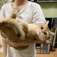 Illustration for article titled Caturday Evening Open Thread